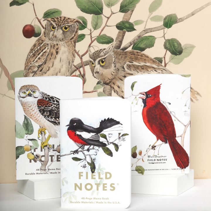 Field Notes Birds and Trees of North America Memo Books, Set of 3, Detail 3