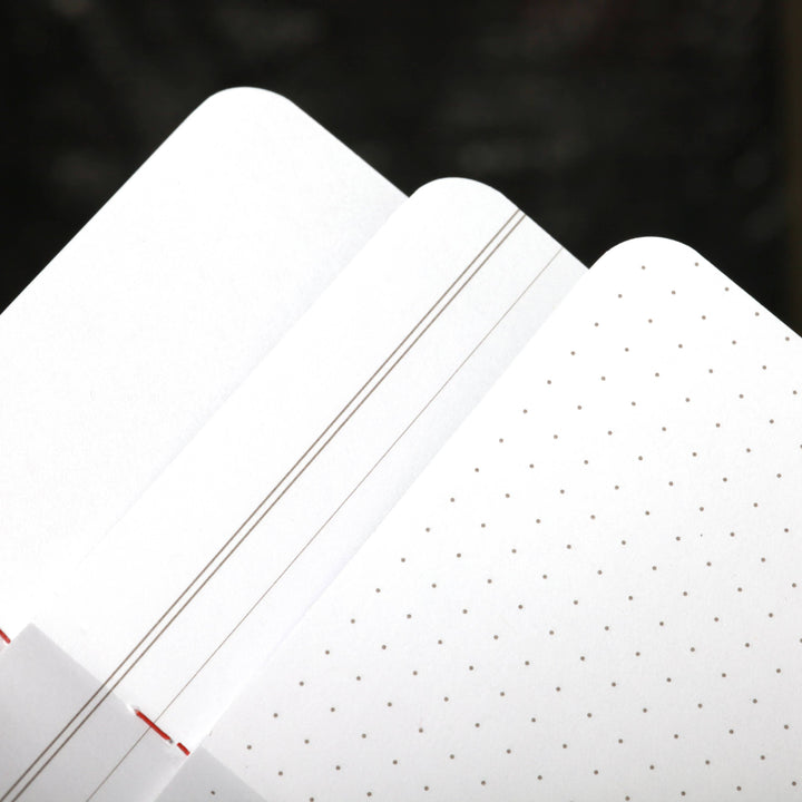Field Notes Flora Pocket Sized Notebook, 3 Pack, Dotted, Ruled & Plain