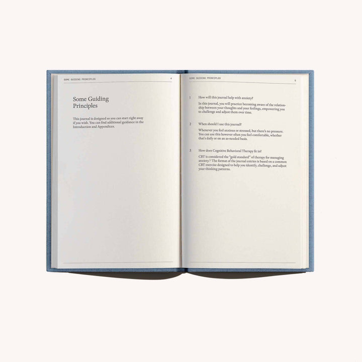 Therapy Notebooks: The Anti-Anxiety Notebook, Detail
