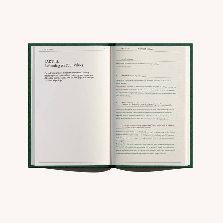 Therapy Notebooks: The Field Guide for Depression, Detail