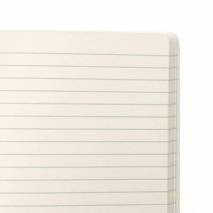 Lined notebook paper.
