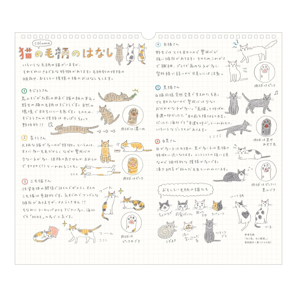 Large Cat Hanging Wall Calendar