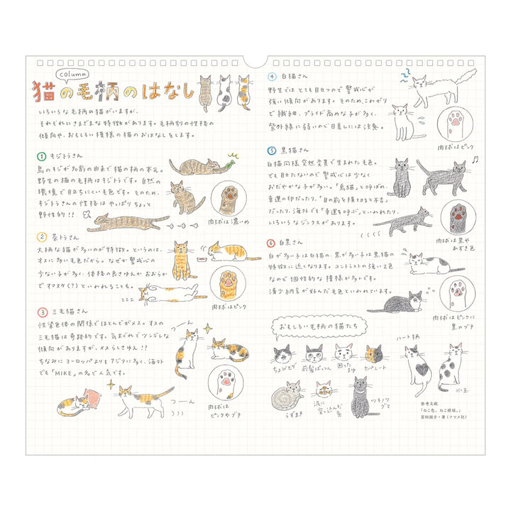 Large Cat Hanging Wall Calendar