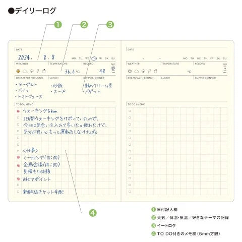 Today Pocketlog Diary