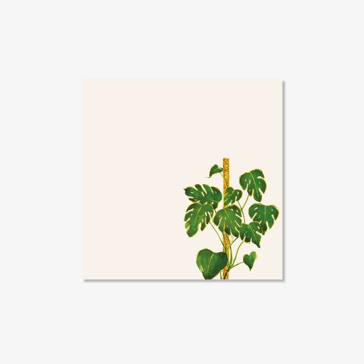 Hand-painted Sticky Notes