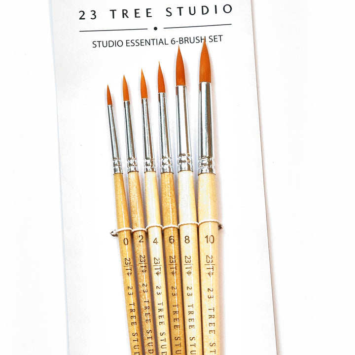 6-Piece Round Watercolor Brush Set