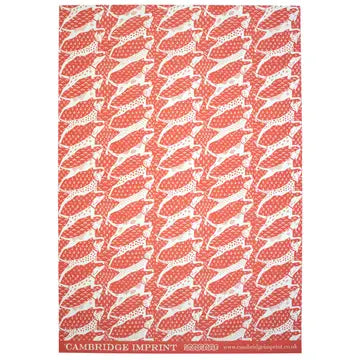 Wrapping Paper