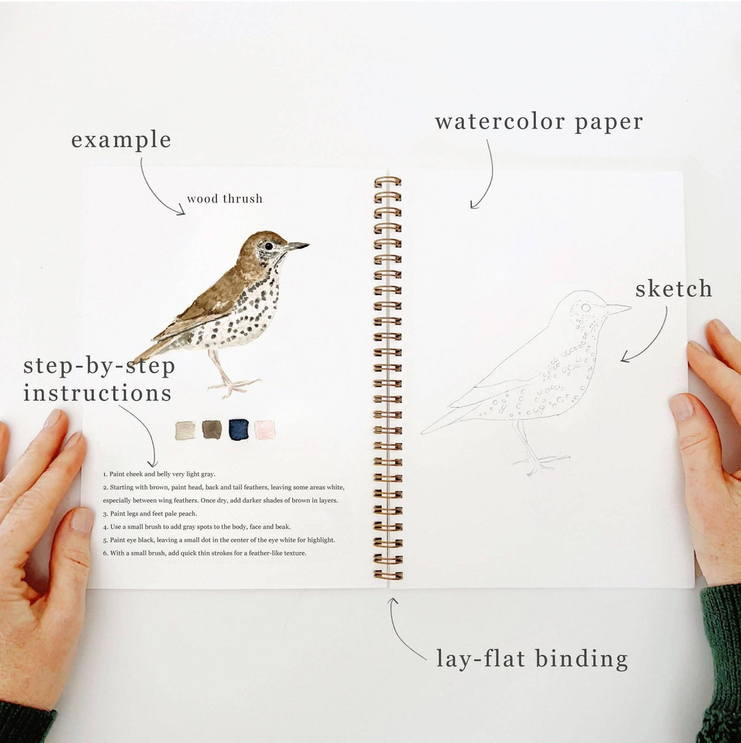 Watercolor Workbook