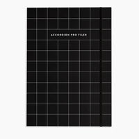 Accordion Pro Filer