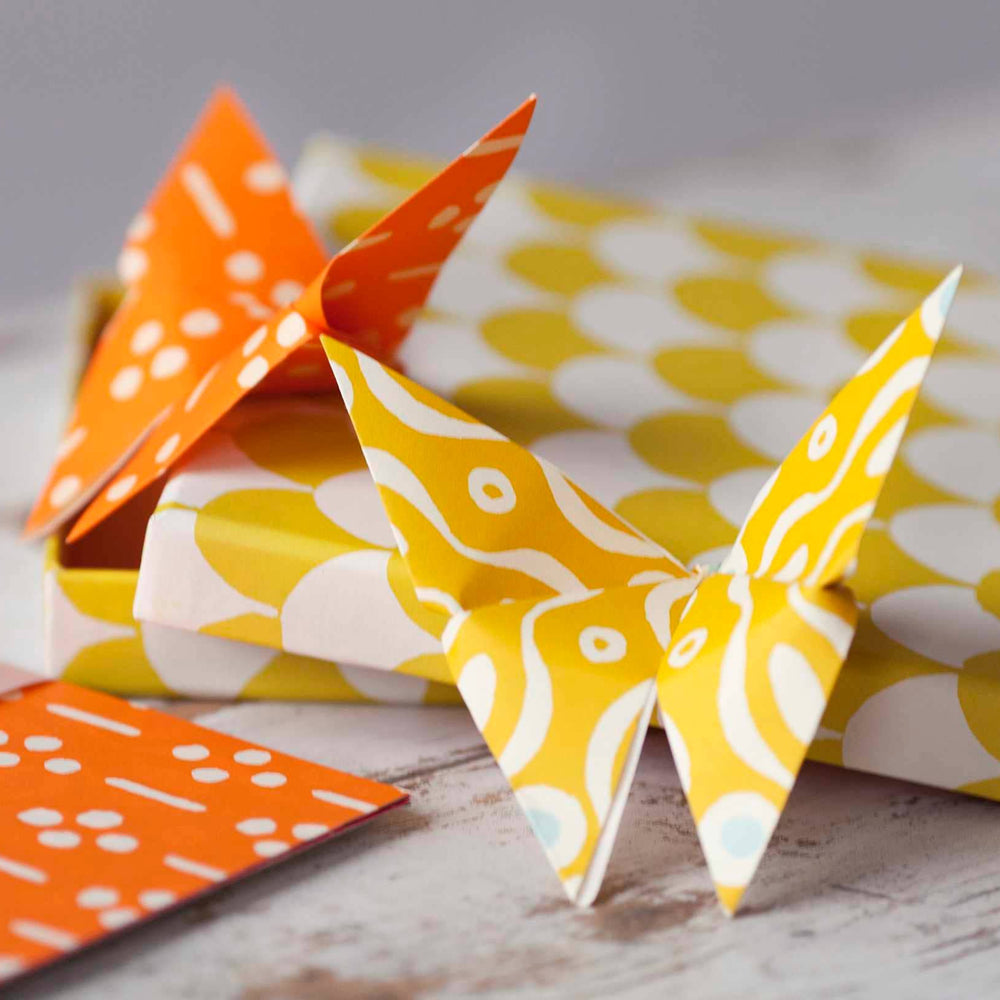 Cambridge Imprint Origami Kits, Cloud of Butterflies