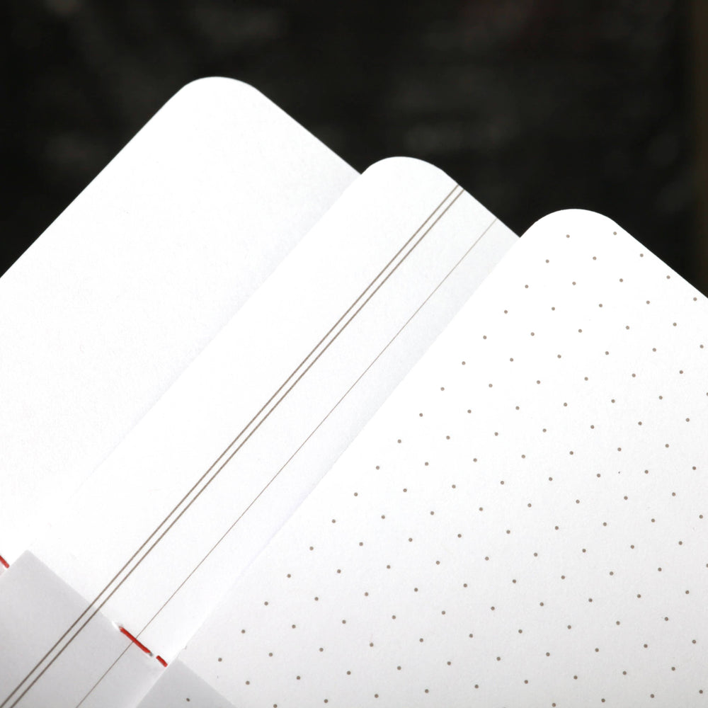 Field Notes Flora Pocket Sized Notebook, 3 Pack, Dotted, Ruled & Plain