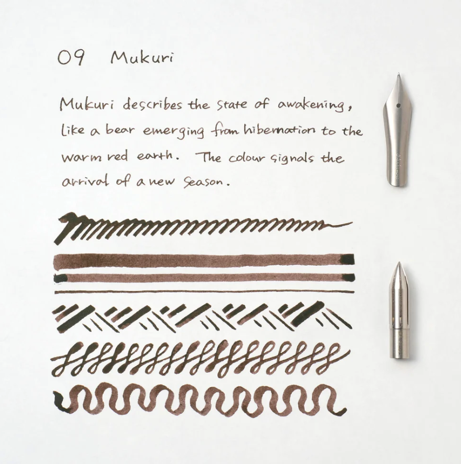 Fountain Pen Pigment Ink