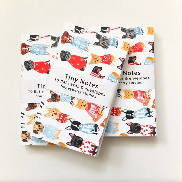 Tiny Notes & Envelopes, Set of 10