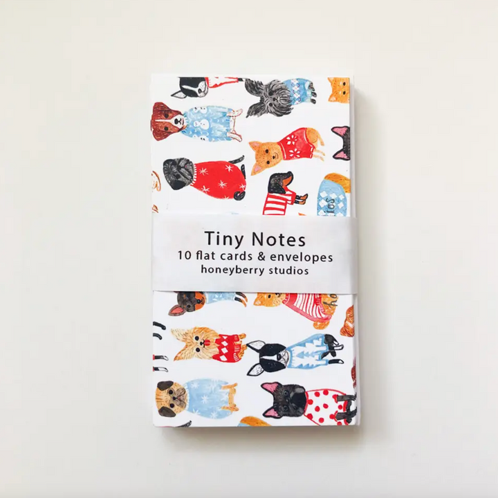 Tiny Notes & Envelopes, Set of 10