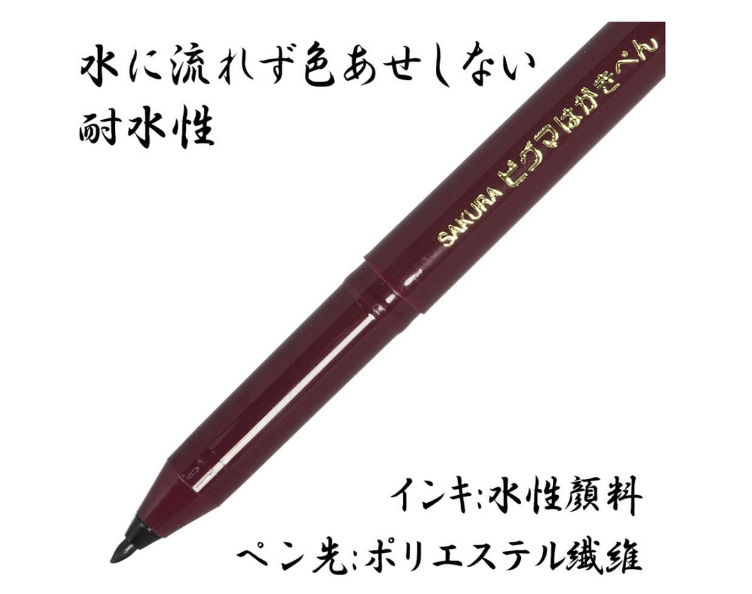 Pigma Postcard Pen