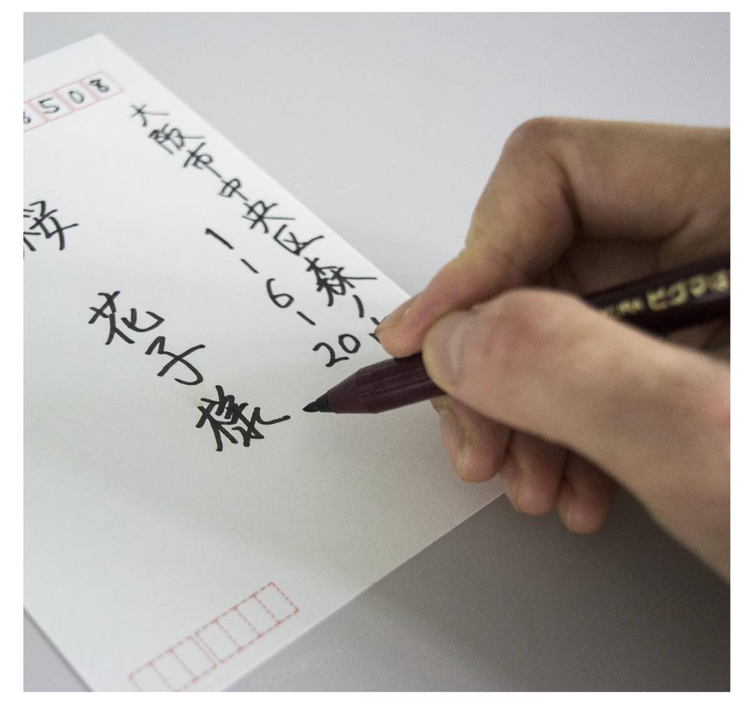 Pigma Postcard Pen