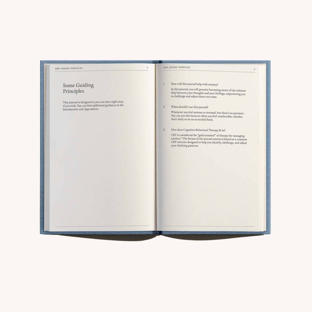 Therapy Notebooks: The Anti-Anxiety Notebook, Detail