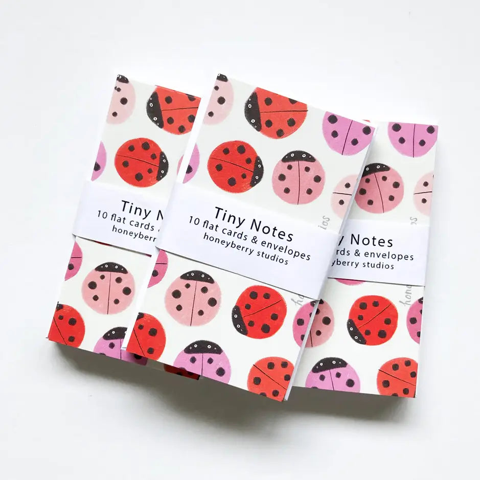 Tiny Notes & Envelopes, Set of 10