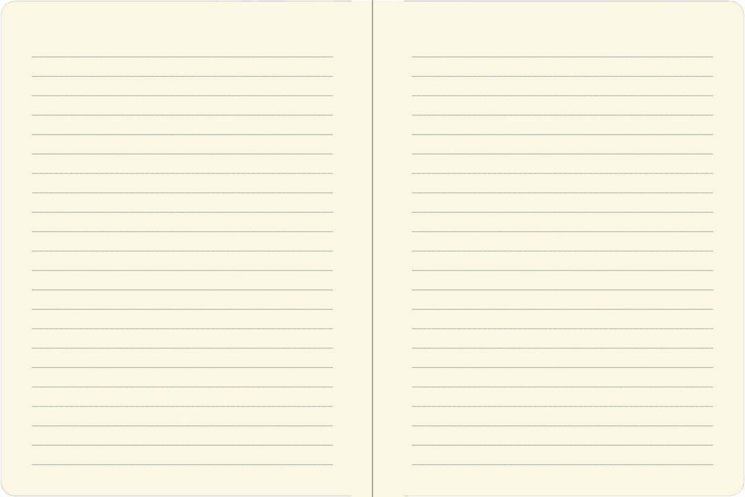 Locking Diary