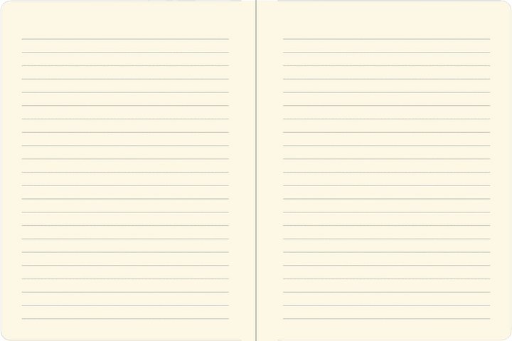 Locking Diary