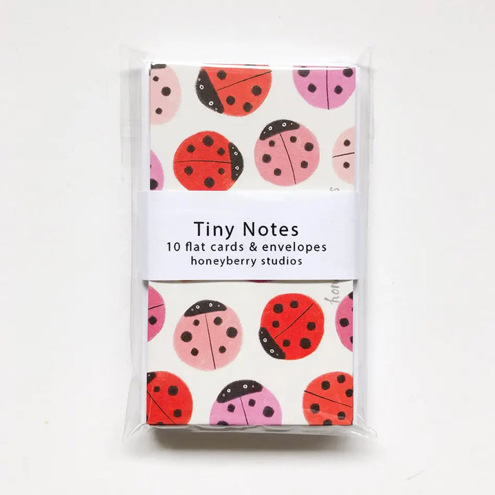 Tiny Notes & Envelopes, Set of 10