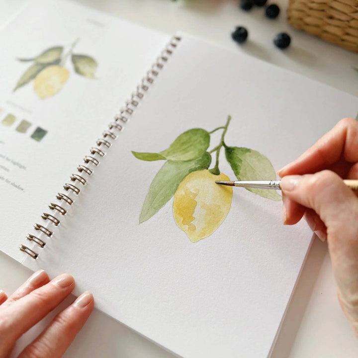 Watercolor workbook