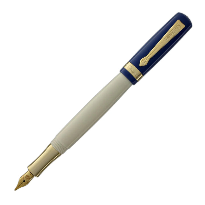 Student Fountain Pen