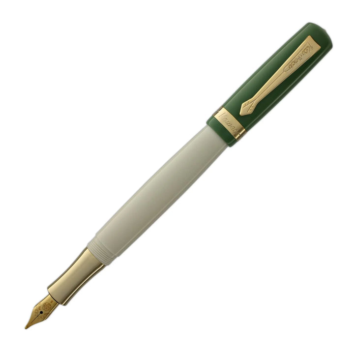 Student Fountain Pen