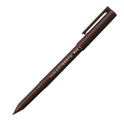 Pigma Postcard Pen